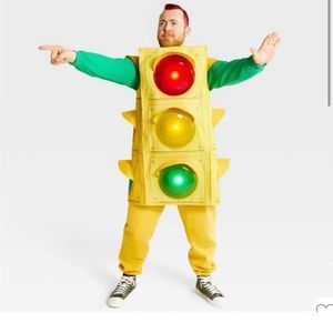 Traffic light Costume ISO — in search of this in an adult size! Comment!